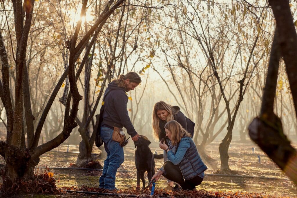People with a dog sniffing for truffles in the forest.