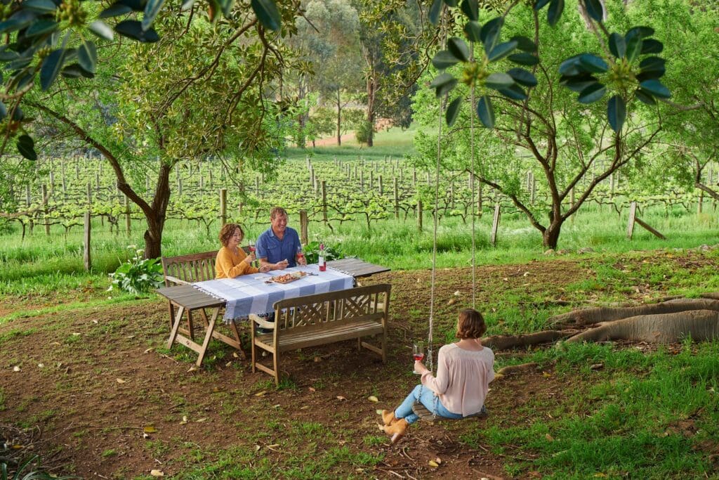 People sitting around a bench in the middle of a vineyard
