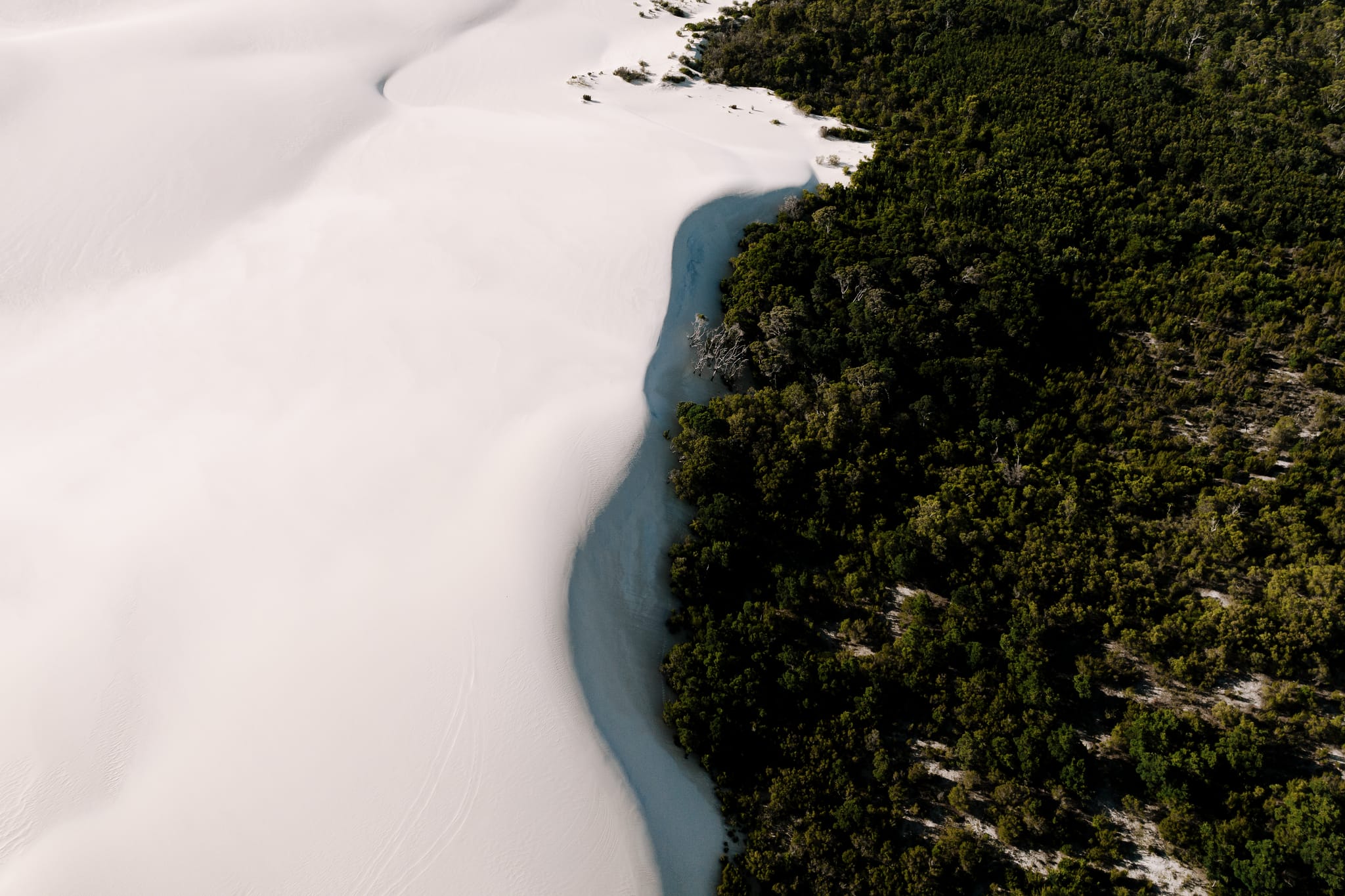 TA_NECI_WA_PembertonDiscovery_240322 DJI_0798-web