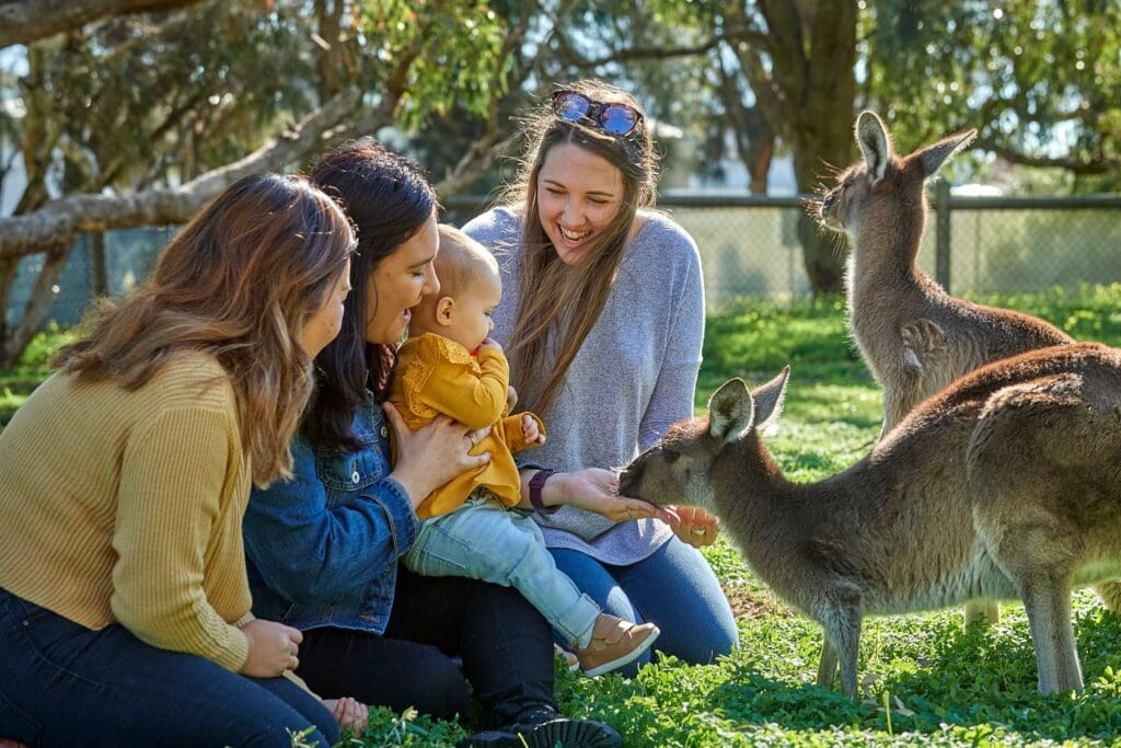 3 women and a baby feed a kangaroo at the Bunbury Wildlife Park