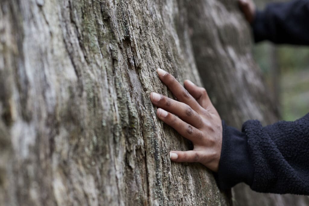 A hand resting against the bark of a large tree.